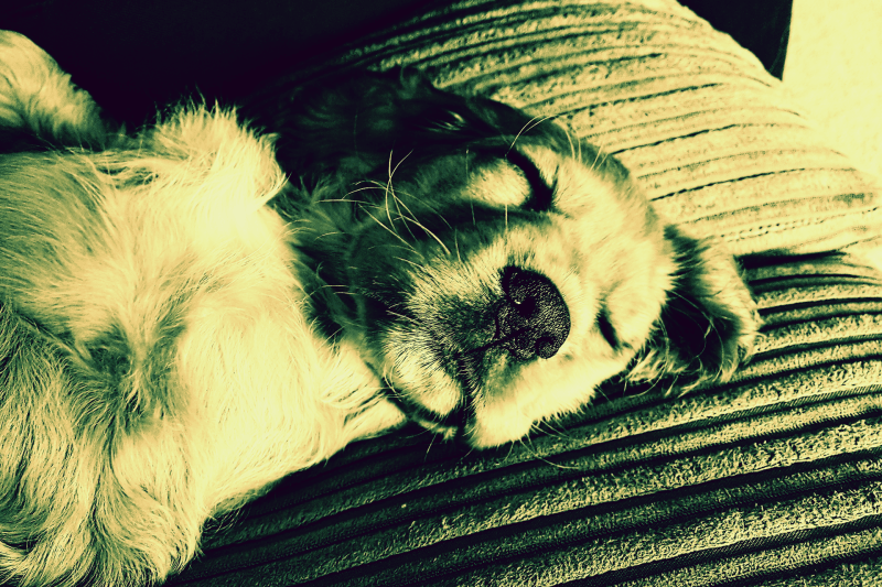 Marlene Krist Bergatreute Mikrobiom Therapie