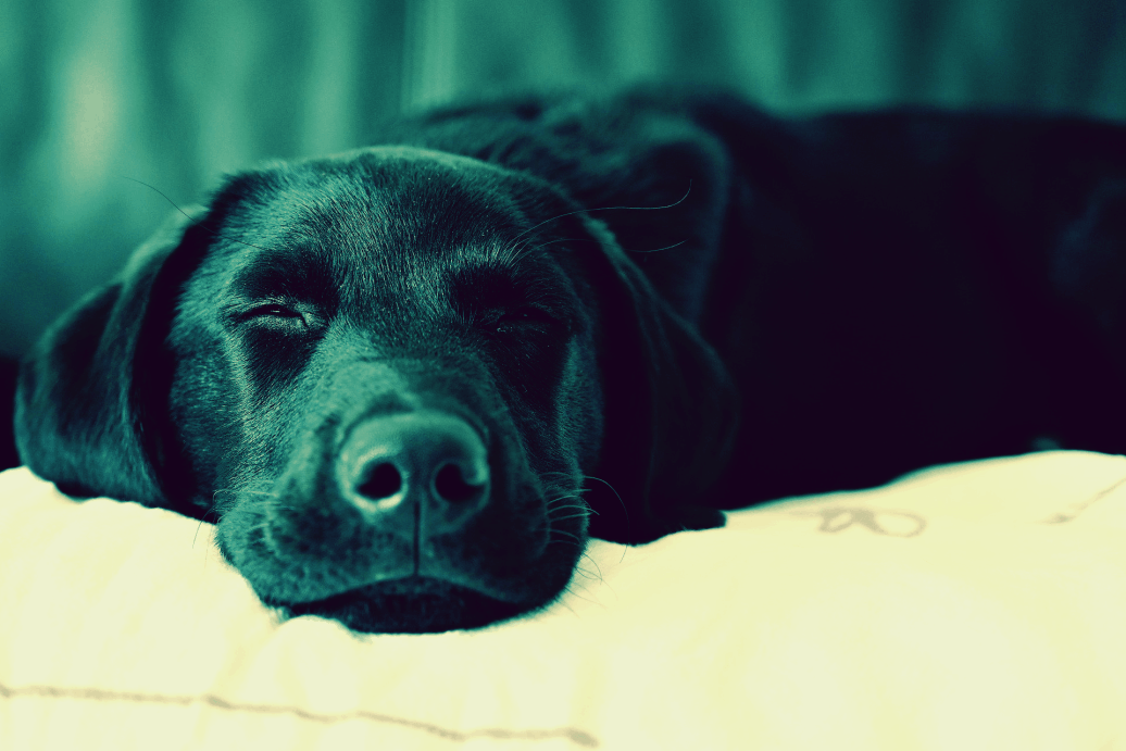 Marlene Krist Bergatreute 