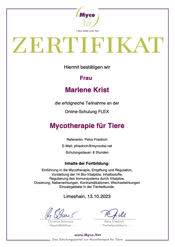 Zertifikate Marlene Krist